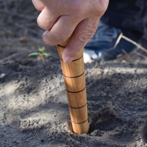 May include: A wooden dowel with black bands is being pushed into the ground. The dowel is being held by a hand.