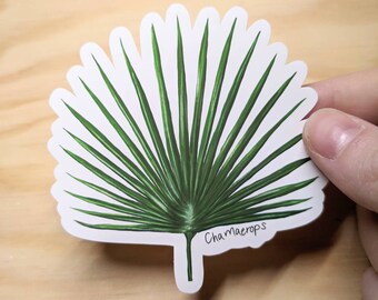 Chamaerops Spikey Plant Sticker - Matte Vinyl Waterproof Sticker - Artistic Illustrative Plant Leaf Sticker