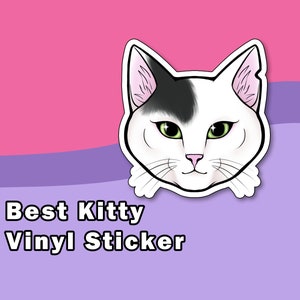 Miglior adesivo Kitty / adesivo in vinile resistente all'acqua