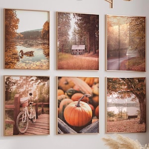 Juego de 6 impresiones de otoño, impresiones de granja, galería de otoño, decoración de pared con calabazas, arte de pared naranja, póster de naturaleza, arte paisajístico P6-0023
