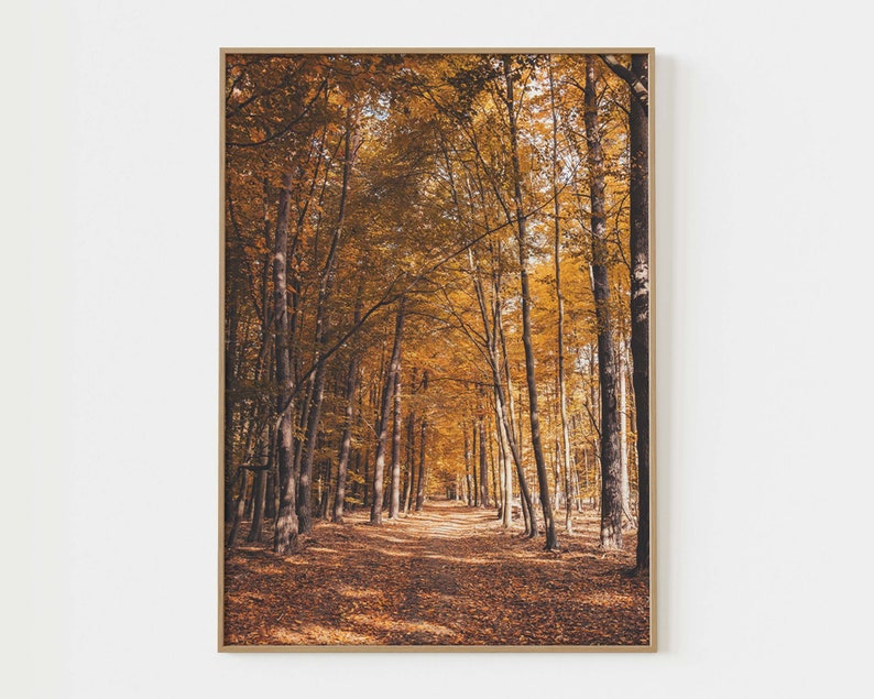 Fall Nature Poster Set of 6 Prints Autumn Gallery Wall Art - Etsy