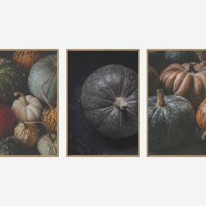 Impresiones de pared de otoño, impresiones de arte de pared de Halloween, juego de 3 impresiones de arte de pared de Acción de Gracias, decoración de pared de Acción de Gracias, impresiones de calabaza. P3-0125
