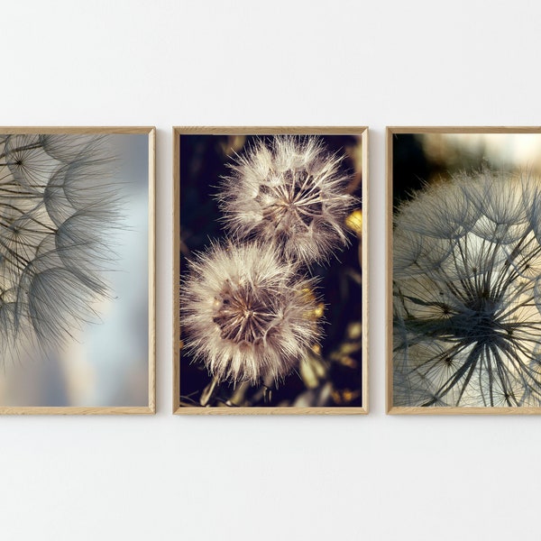 Dandelion Wall Art Etsy