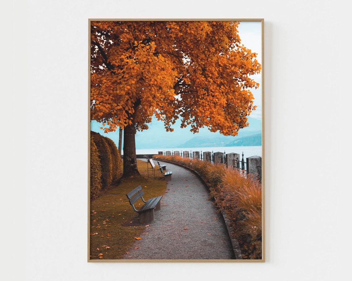 Autumn Gallery Wall Art Set of 6 Prints Fall Decor Fall Nature Poster ...