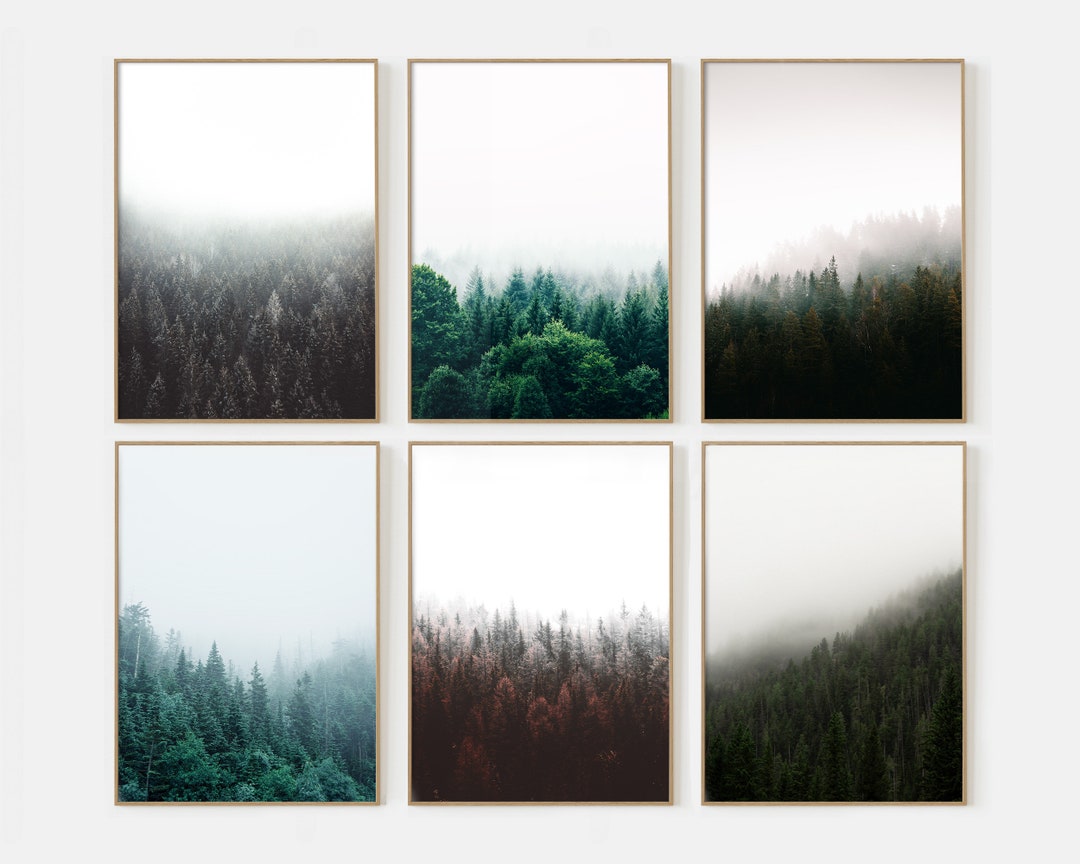 Set of 6 Prints Foggy Forest Pine Wall Art Fog Forest Pine Poster ...