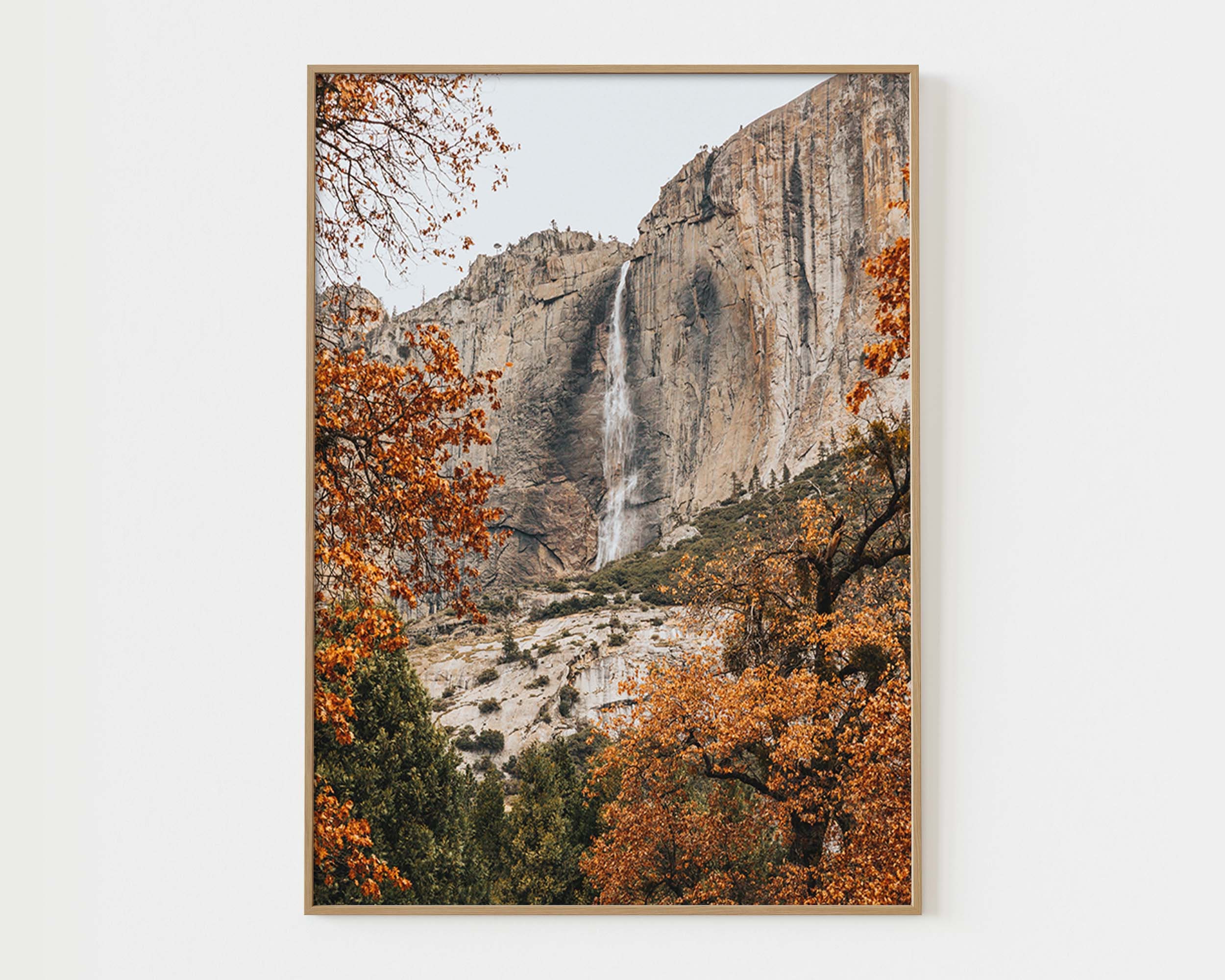 Fall Nature Poster Set of 6 Prints Autumn Gallery Wall Art Fall Decor ...