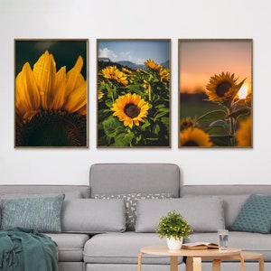 May include: Three framed prints of sunflowers in a field. The first print shows a close-up of a sunflower with yellow petals and a dark brown center. The second print shows a field of sunflowers with a bright blue sky in the background. The third print shows a single sunflower in a field at sunset.
