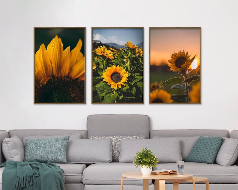 May include: Three framed prints of sunflowers in a field. The first print shows a close-up of a sunflower with yellow petals and a dark brown center. The second print shows a field of sunflowers with a bright blue sky in the background. The third print shows a single sunflower in a field at sunset.