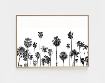 Tropical Print, Black White Palm, Palms Print, California Palms Wall Decor Print, Palms Photo, Modern Palm Tree, Palm Tree Poster. PL-29