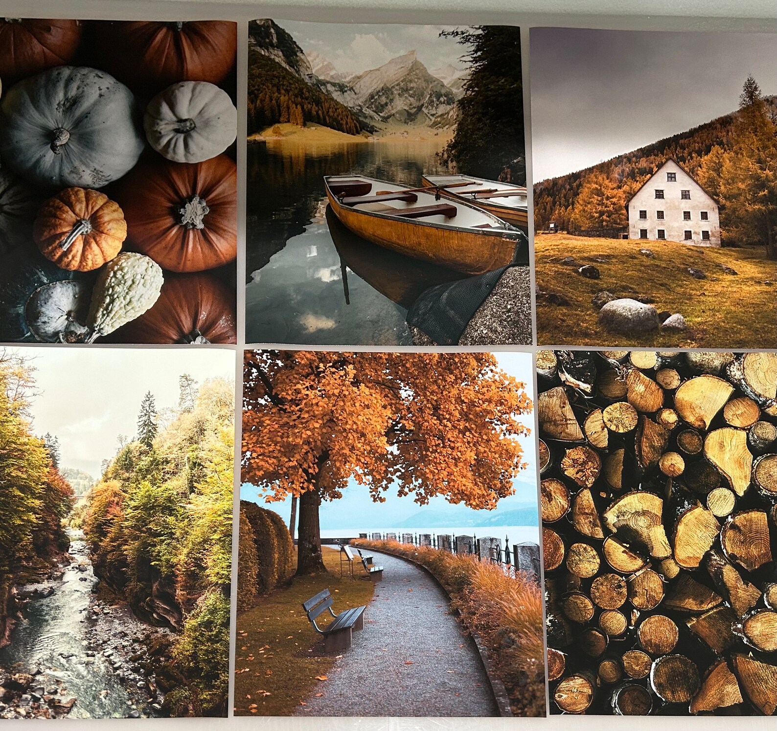 Autumn Gallery Wall Art Set of 6 Prints Fall Decor Fall Nature Poster ...