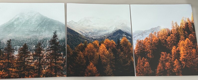 May include: A three-panel canvas print featuring a mountain landscape with snow-capped peaks and a forest of fall foliage in shades of orange, yellow, and brown.