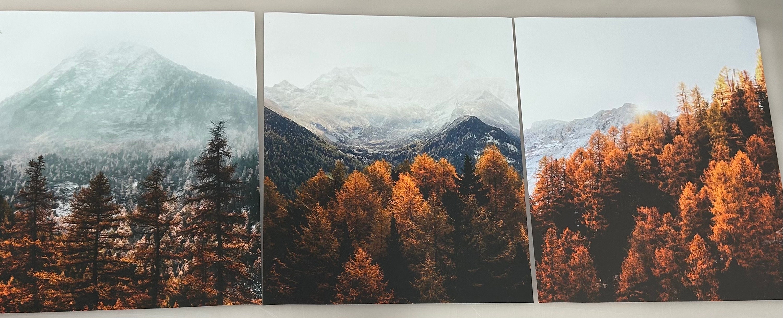 Set Autumn Fall Art Forest 3 Prints Nature Mountain Print Landscape ...