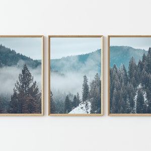 Set of 3 Scandinavian Photo Forest Misty Forest Nature Wall Art Foggy Mountain Forest Print Nordic Forest Set Landscape Photography P3-0072