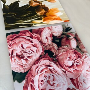 Puede incluir: Primer plano de un ramo de rosas rosas con p&eacute;talos suaves. Las rosas est&aacute;n dispuestas en un racimo, con algunos p&eacute;talos superpuestos. El fondo es de un blanco suave.