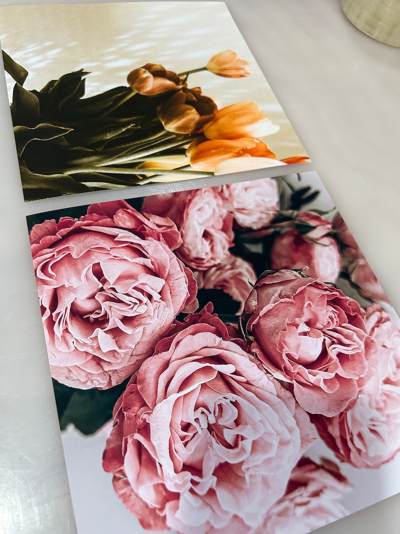 Puede incluir: Primer plano de un ramo de rosas rosas con p&eacute;talos suaves. Las rosas est&aacute;n dispuestas en un racimo, con algunos p&eacute;talos superpuestos. El fondo es de un blanco suave.
