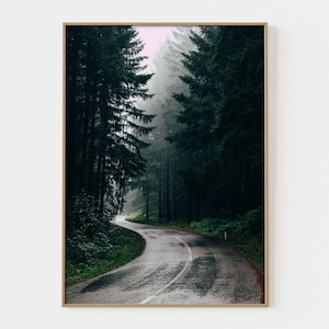 May include: A winding road through a dense, misty forest. The road is paved and has a white line down the center. The trees are tall and green, and the fog is thick and white.