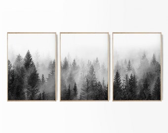 Forest Photo Set 3 Print Black and White Forest Poster Foggy Scandinavian Forest Misty Poster Nature Fog Landscape, Nature Wall Art. P3-0062