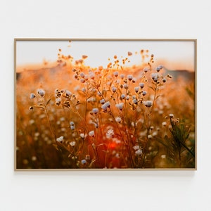 White Wildflower Field Photo Prints Nursery Wall Art Floral Neutral Print Wildflower Wall Art Decor Nature Wall Art PL0004