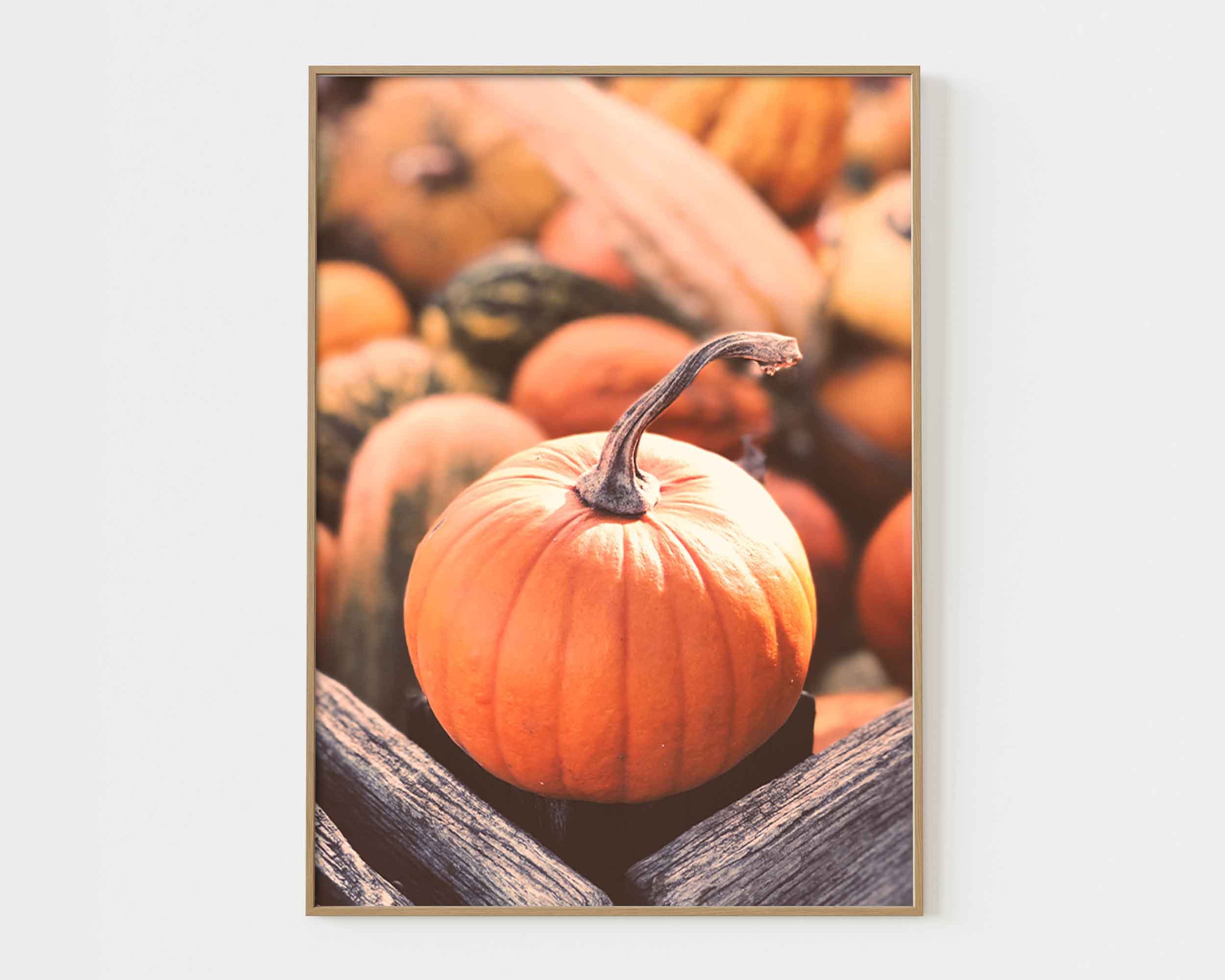 Set of 6 Fall Print Set Farmhouse Prints Autumn Gallery Wall Pumpkin ...