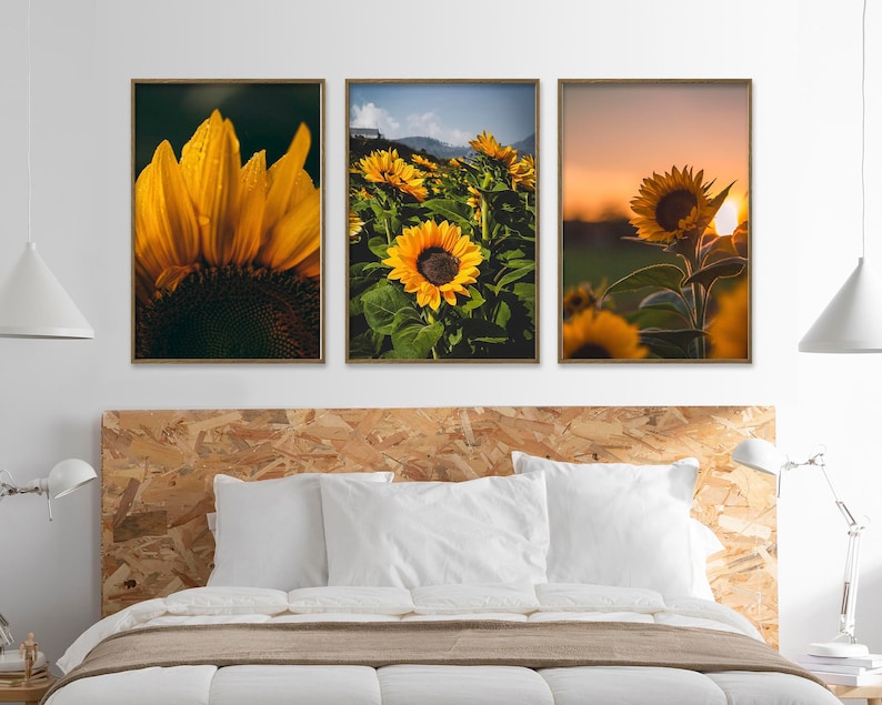 May include: Three framed prints of sunflowers in a field. The first print shows a close-up of a sunflower, the second print shows a field of sunflowers, and the third print shows a single sunflower in a field at sunset.