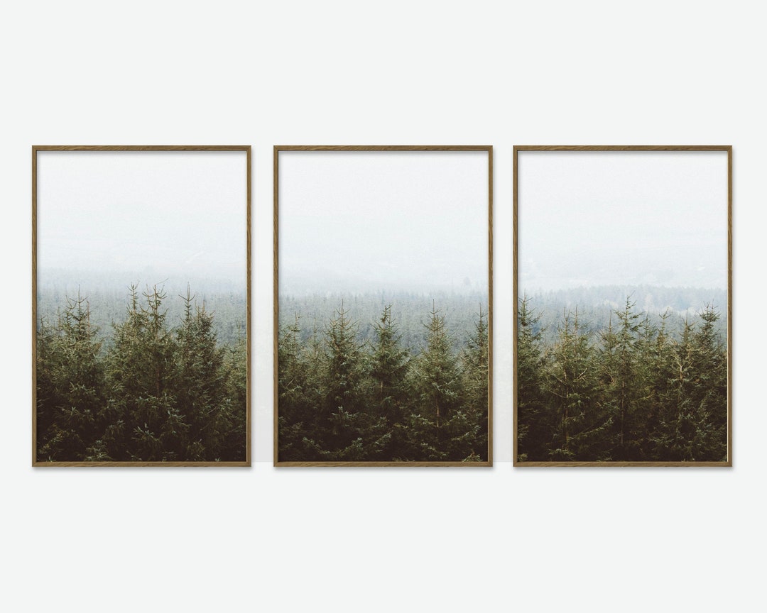 Landscape Forest Wall Art, Forest Nature Wall Art, Forest Print, Set 3