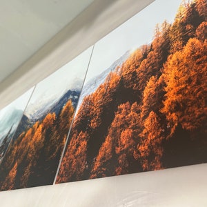May include: A triptych of landscape photographs featuring a mountain range with a forest of trees in the foreground. The trees are a vibrant orange and yellow, indicating autumn foliage. The mountains are covered in snow and the sky is a light blue.