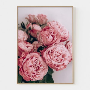 Puede incluir: Un ramo de rosas rosadas con p&eacute;talos suaves, dispuestas en un racimo. Las rosas est&aacute;n enfocadas, mientras que el fondo est&aacute; desenfocado.
