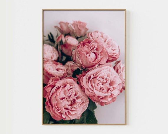 Pink Roses Flower Photo Print Flower Spring Art Nature Wall Art Flower Print Nursery Wall Art Nursery Decor Roses Poster Roses Photo P1-0028