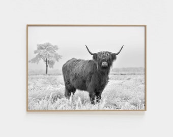 Black and White Highland Cow Print, Cow Print, Highland Cow Nursery Wall Art, Animal Rustic Large Farmhouse Art Country Animal Print. PL0023