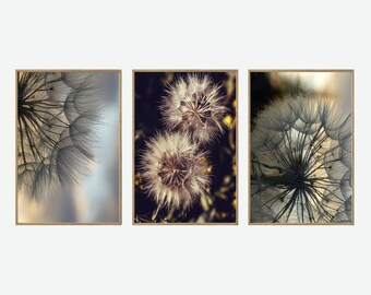 Dandelion Photo Poster, Set 3 Prints Art Decor, Dandelion Seeds Macro Prints Wall Art, Dandelion Seeds Macro Poster, Nursery Print. P3-0104
