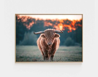 Highland Cow Nursery Wall Art Animal Rustic Large Farmhouse Art Country Animal Print Highland Cow Print Girl Nursery Prints Cow Print PL0020