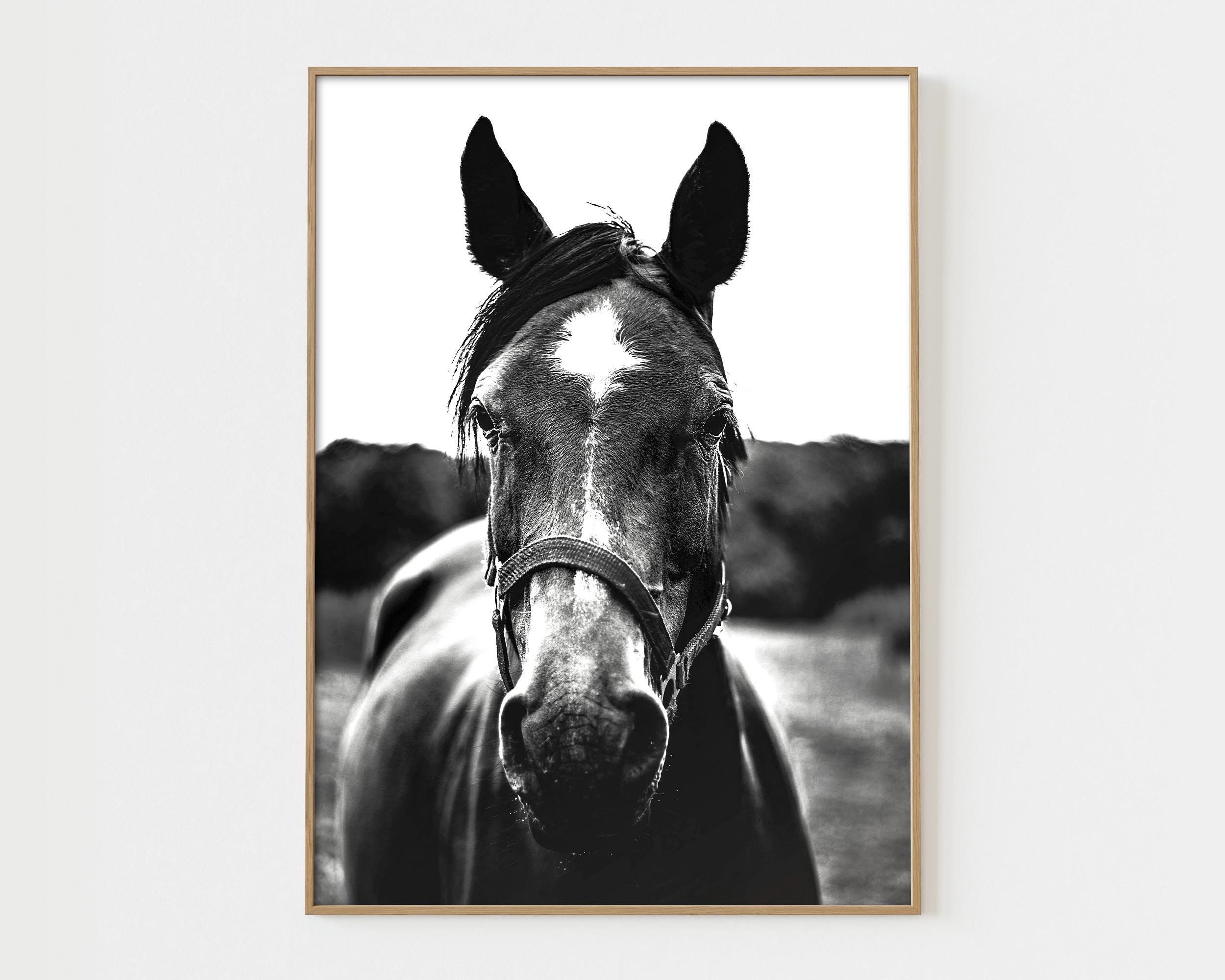 horse-photo-print-black-white-horse-wall-art-horse-portraits-farmhouse