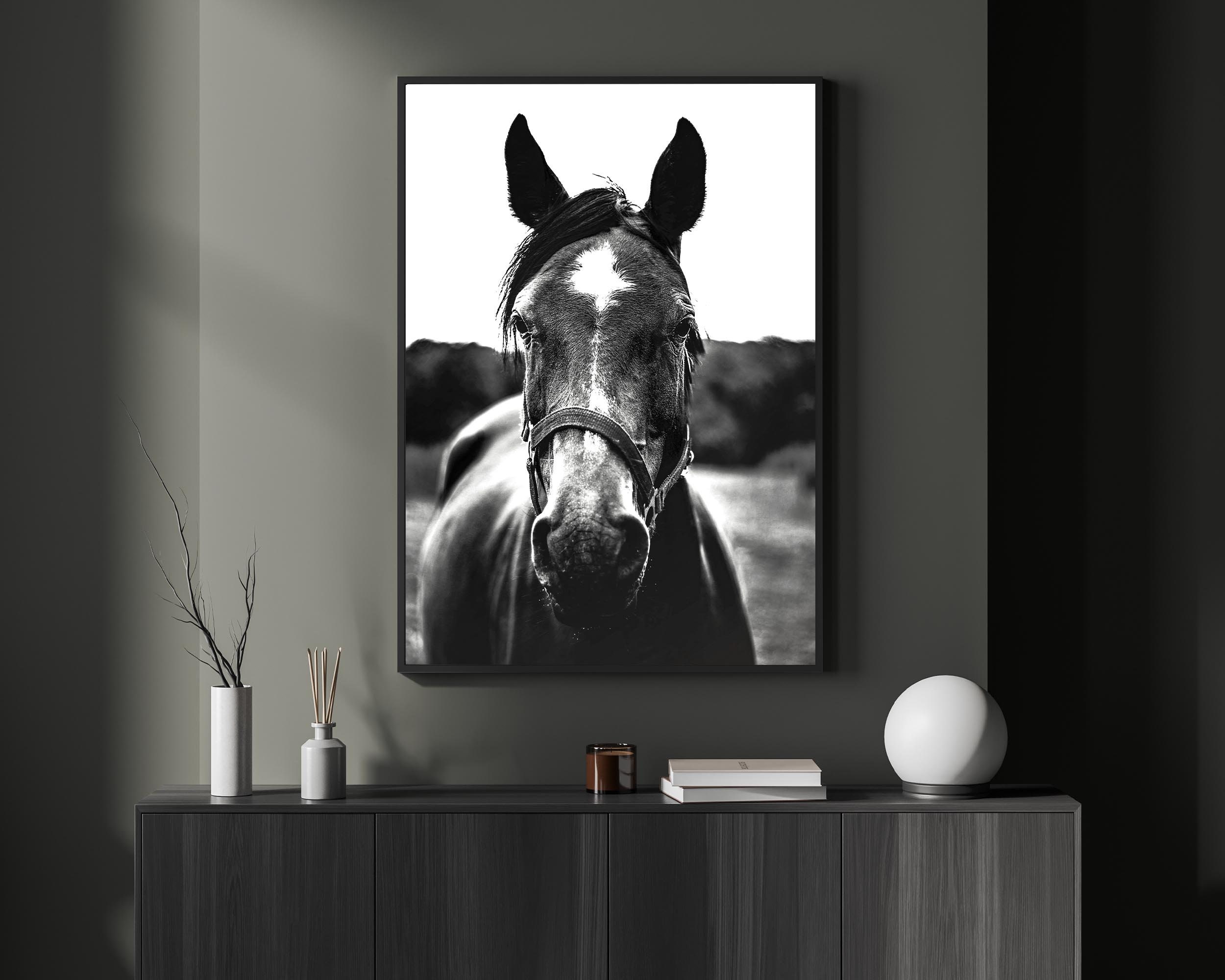 Horse Photo Print Black White Horse Wall Art Horse Portraits Farmhouse