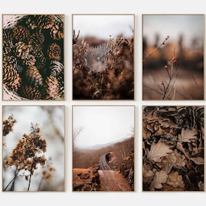 Otoño Estética Pared Arte Conjunto de 6 Impresiones Otoño Estética Otoño Naturaleza Cartel Naturaleza Pared Arte Acción de Gracias Decoración Granja Impresiones P6-0026