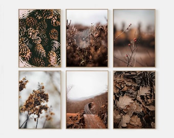 Autumn Aesthetic Wall Art Set of 6 Prints Fall Aesthetic Fall Nature Poster Nature Wall Art Thanksgiving Decor Farmhouse Prints P6-0026