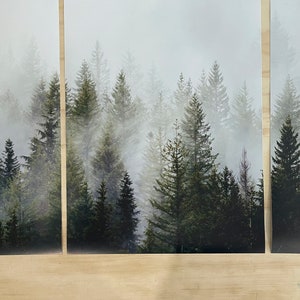 May include: A panoramic view of a misty forest with tall evergreen trees. The fog creates a sense of mystery and serenity.