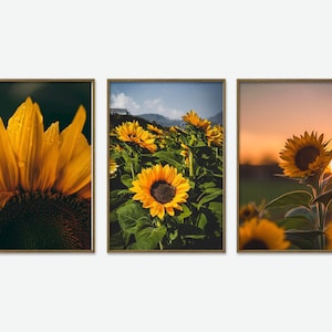 Set 3 Prints Sunflowers Art Decor Sunflowers Poster Nature Photography Natural Wall Art Nursery Wall Art Botanical Print Spring Art P3-0077