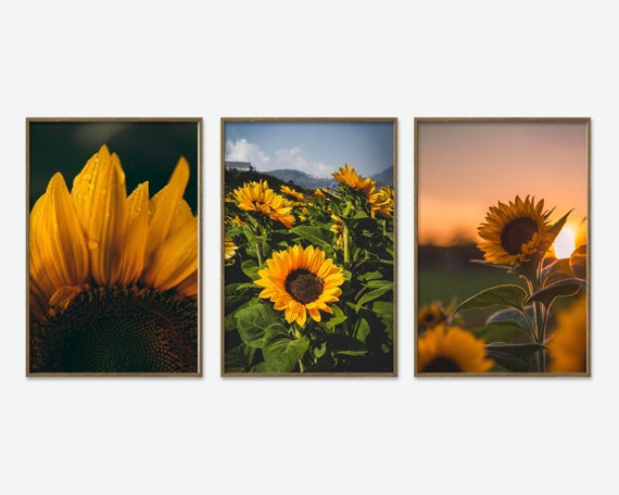 Set 3 Prints Sunflowers Art Decor Sunflowers Poster Nature Photography Natural Wall Art Nursery Wall Art Botanical Print Spring Art P3-0077