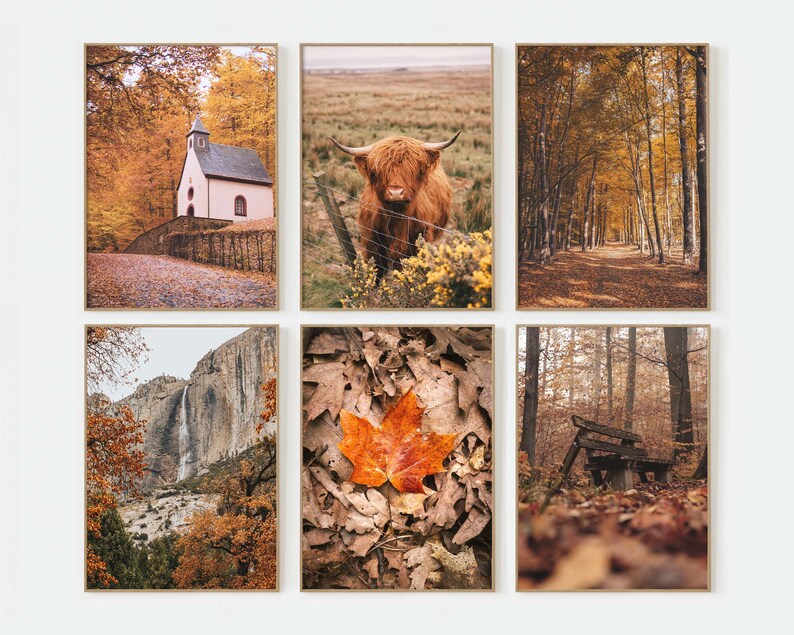 Fall Nature Poster Set of 6 Prints Autumn Gallery Wall Art Fall Decor ...