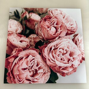 Puede incluir: Un primer plano de un ramo de rosas rosadas con p&eacute;talos suaves. Las rosas est&aacute;n dispuestas en un racimo, con algunos capullos a&uacute;n cerrados. El fondo es de un blanco suave.