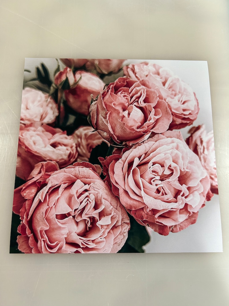 Puede incluir: Un primer plano de un ramo de rosas rosadas con p&eacute;talos suaves. Las rosas est&aacute;n dispuestas en un racimo, con algunos capullos a&uacute;n cerrados. El fondo es de un blanco suave.