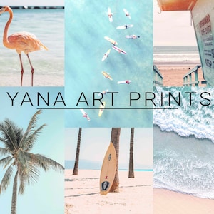May include: A collage of six images featuring a pink flamingo, surfers on turquoise water, a lifeguard stand, a palm tree, a surfboard, and ocean waves.