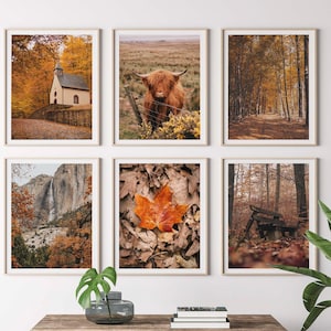Juego de 6 impresiones de pósteres de naturaleza otoñal, galería de arte de pared, decoración de otoño, arte de pared de naturaleza, impresiones de granjas, arte otoñal, impresiones de Acción de Gracias P6-0017