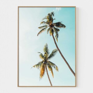May include: Two tall palm trees against a bright blue sky. The trees have green fronds and are silhouetted against the sky.