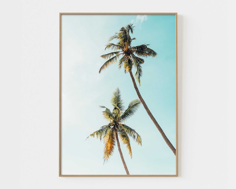 May include: Two tall palm trees against a bright blue sky. The trees have green fronds and are silhouetted against the sky.