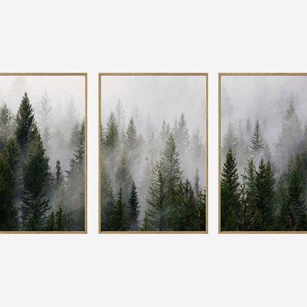 Forest Print, Set of 3, Nordic Photography, Misty Forest Photo, Foggy Landscape, Large Fog Forest, Nature Wall Art, Poster Forest. P3-0001