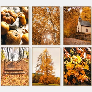 Conjunto de 6 impresiones Otoño Estética Otoño Naturaleza Cartel Naturaleza Pared Arte Otoño Estética Pared Arte Acción de Gracias Decoración Granja Impresiones P6-0027