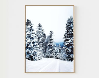 Fotografía de arte mural de naturaleza de bosque invernal, póster de pinos de bosque nórdico, fotografía de bosque invernal, naturaleza escandinava, fotografía de invierno salvaje P1-0020