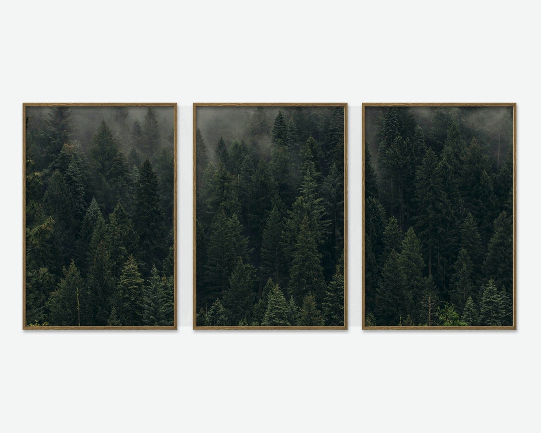 Forest Print Set 3 Prints Photography Dark Foggy Pine Forest Photo ...