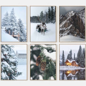 Winter Set of 6 Prints Reindeer Art Nature Wall Art Print Snow Forest Photo Decor Cottage Neutral Snowy Landscape Christmas Wall Art P6-0018